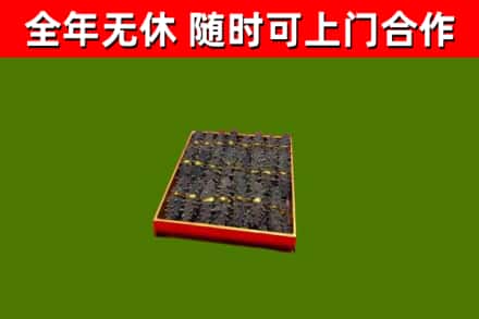 澄迈回收海参